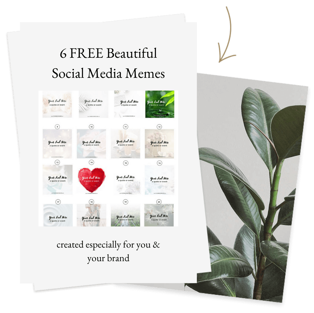 claire smith the brand illuminator